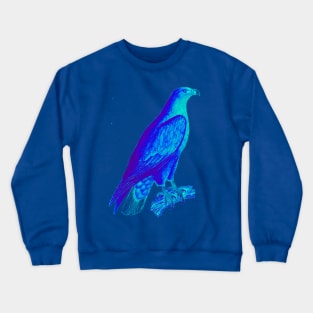 bird of prey,accipitridae,vulture,golden eagle,aquila,vertebrate,bald eagle,haliaeetus,icthyophaga,buteoninae,species,genus,raptor Crewneck Sweatshirt